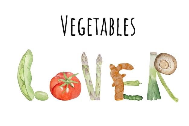 벡터 흰색 배경에 다양한 야채가 있는 수채색 배경 건강한 식습관의 개념