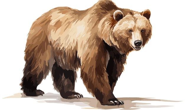 Vettore clipart di orso ad acquerello per risorse grafiche