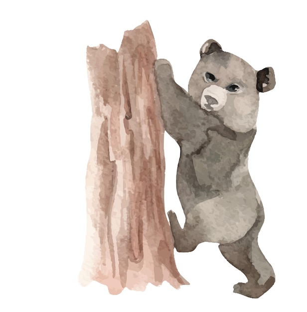 Watercolor bear illustration for kids