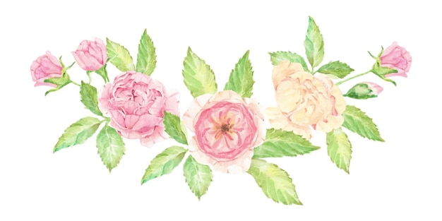 Watercolor beautiful english rose flower bouquet isolated