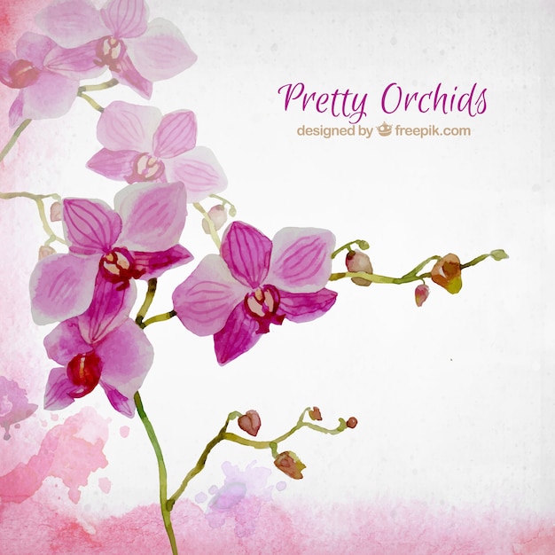 Vector watercolor beautiful orchids