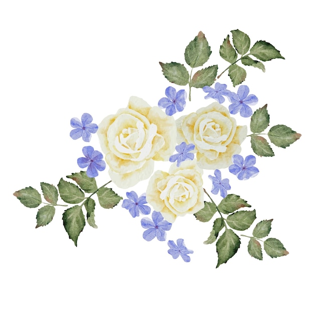 Watercolor beautiful white rose and blue plumbago auriculata plant flower bouquet clipart digital painting