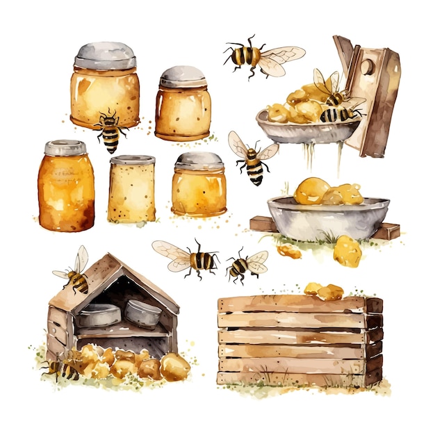 Vector watercolor beehives and bee illustration beekeeping hand drawn clipart elements