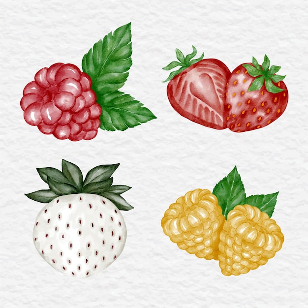 Watercolor berry collection element clip art