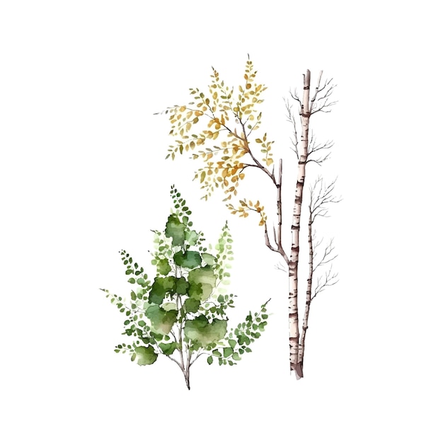 Alberi di betulla dell'acquerello albero di russia elemento di design per sfondi sfondo del sito web illustrazione vettoriale