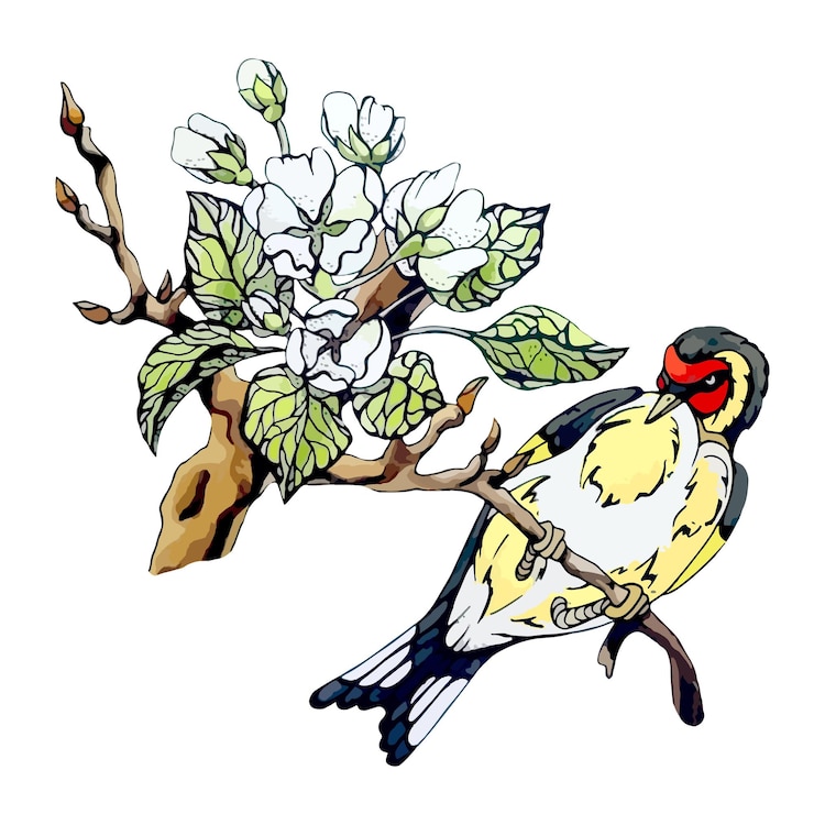 Vector watercolor bird on apple branch with bloom white flowers and green leaves rustic decor floral design