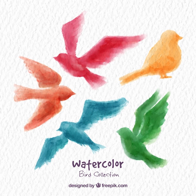 Vector watercolor bird collection