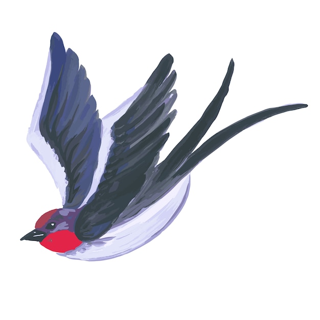 Vector watercolor bird flying swallow