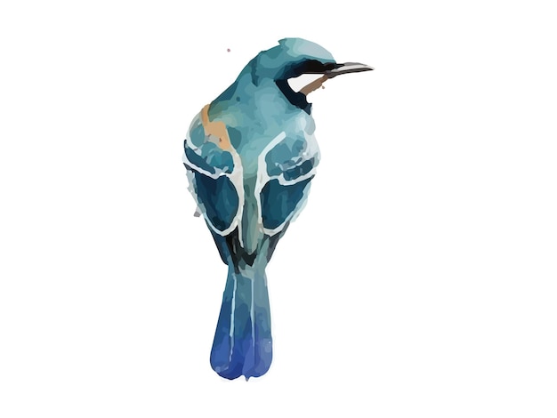 Watercolor bird and sparrow vector illustration Realistic hand drawn Painting