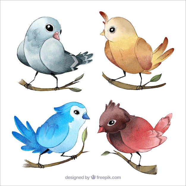 Watercolor birds collection