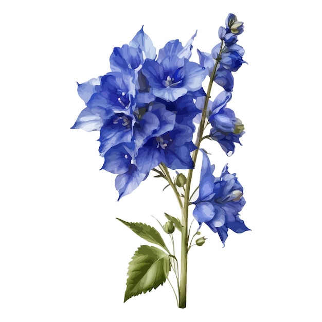 watercolor blue butterfly delphinium clipart editable white background