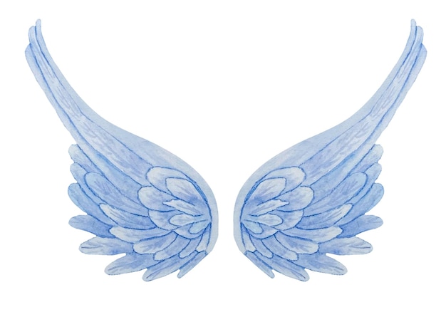 Vector watercolor blue delicate angel wings realistic wings illustration