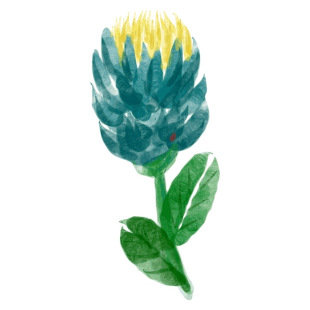Watercolor blue flower illustration on white background