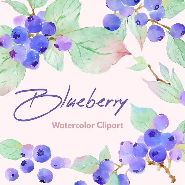 Watercolor blueberries branches  illustration