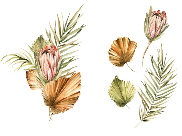 Watercolor boho bouquet tropical dried flowers palm leaves protea floral set for wedding cards