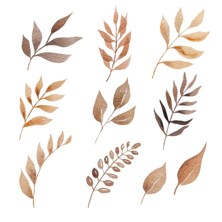 Watercolor boho brown coffee autumn leaves set