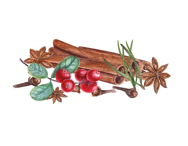 Watercolor botanical illustration of cowberries cinnamons pine needles cloves isolated on white