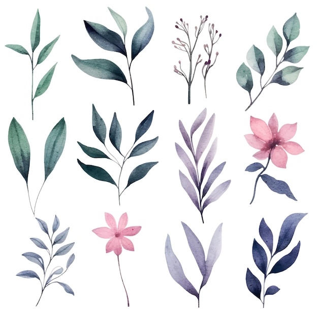 Vector watercolor botanical illustrations set