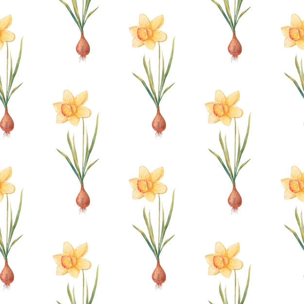Watercolor botanical realistic floral pattern with narcissus Bright yellow daffodil on a white