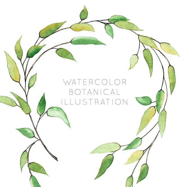 Watercolor botanical wreath with greenery