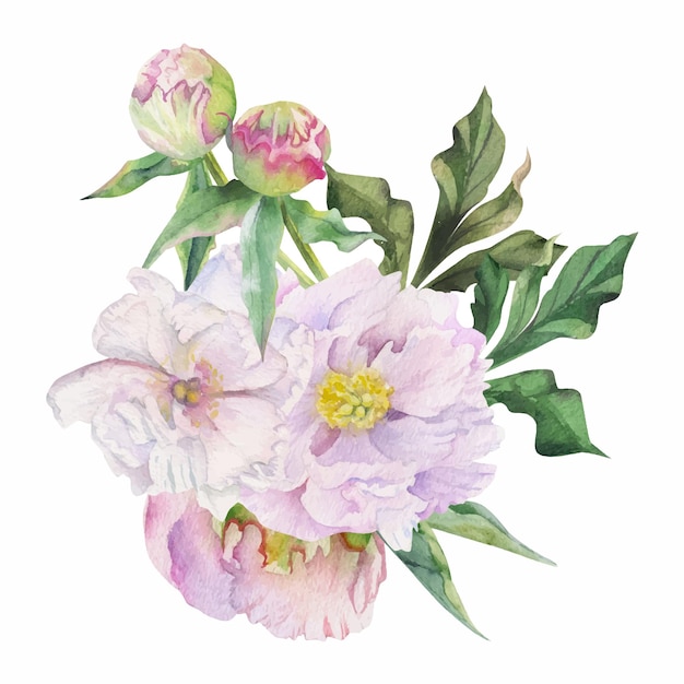 손으로 그린 섬세한 분홍색 모란 꽃 봉오리와 흰색 배경에 고립 된 잎 수채화 꽃다발 배열 결혼식 사랑 또는 인사말 카드 종이 인쇄 섬유
