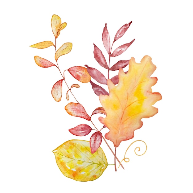 Composizione botanica dell'illustrazione del mazzo dell'acquerello dalle foglie luminose su un fondo bianco