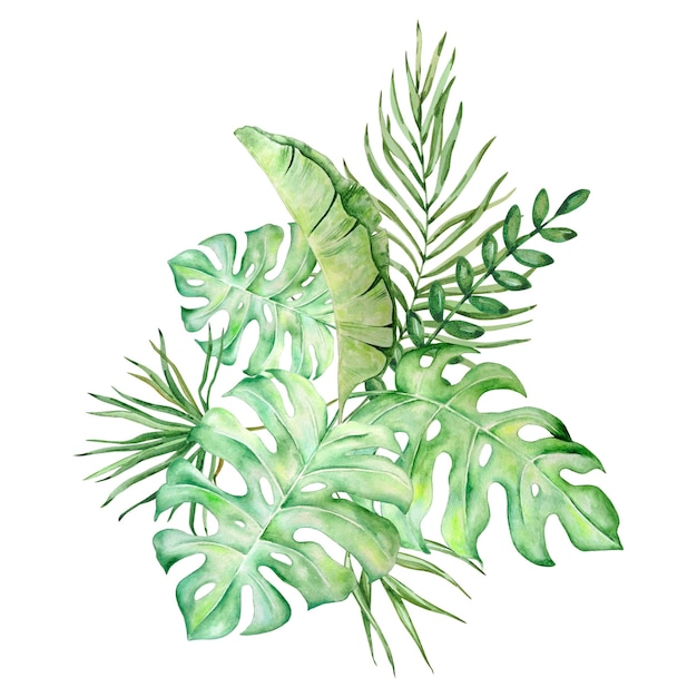 Watercolor bouquet of bright tropical leaves for design