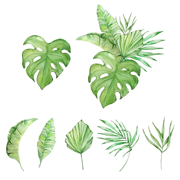 Букет акварелей из ярких тропических листьев для дизайна