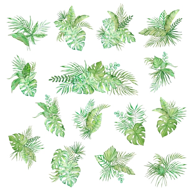 Vector watercolor bouquet of bright tropical leaves