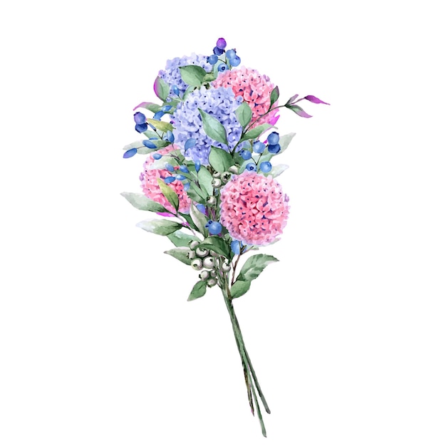 Vector watercolor bouquet of hydrangeas hand drawn illustration isolated on white background