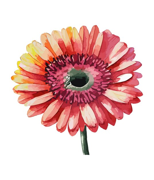 Gerbera 꽃의 수채화 꽃다발 흰색 배경에 고립 수채화 꽃꽂이