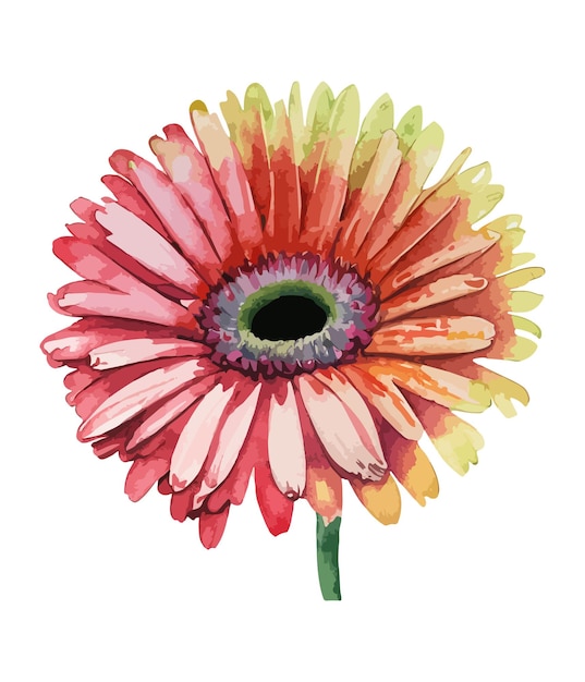 Gerbera 꽃의 수채화 꽃다발 흰색 배경에 고립 수채화 꽃꽂이