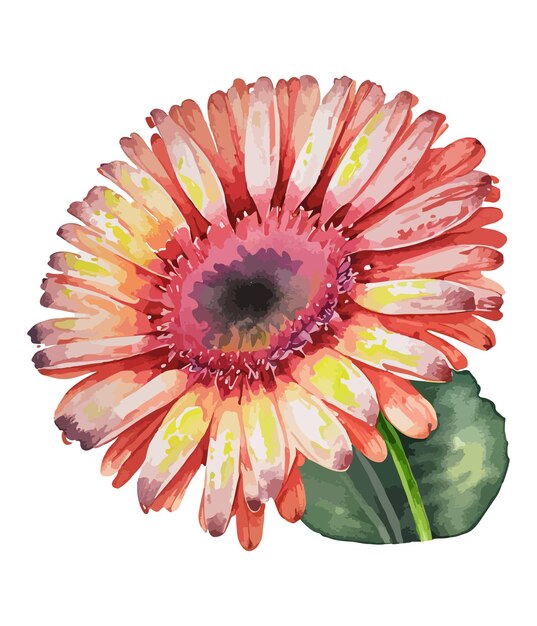 Gerbera 꽃의 수채화 꽃다발 흰색 배경에 고립 수채화 꽃꽂이