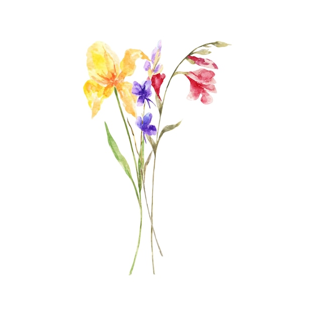 Watercolor bouquet of wild spring flowers