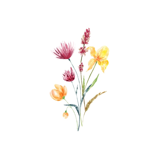 Watercolor bouquet of wild spring flowers