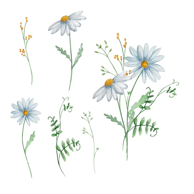 Vector watercolor bouquet of wildflowers illustration for cards and invitations