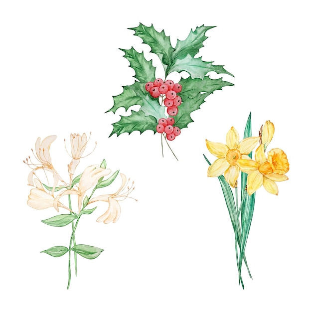 ベクトル プリントやカード用の誕生月の花のデザインの水彩の花束