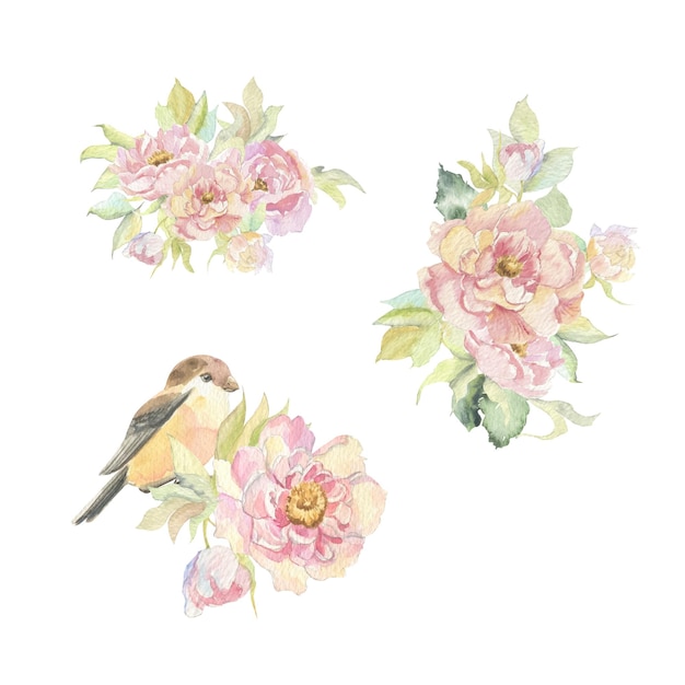 Watercolor bouquets of vintage delicate pink flowers with a bird