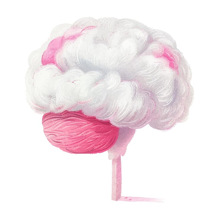 Vector watercolor of brain white background 6