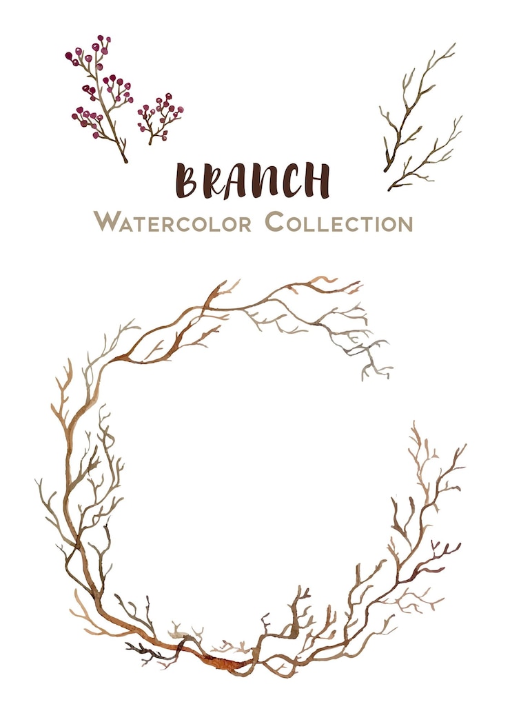 Vector watercolor branch collection