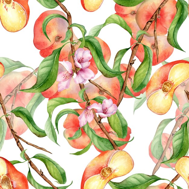 Vector watercolor branch of peach tree with fruit and flowers seamless pattern isolated on white fig peaches and leaves painted chines peaches hand drawn design element for package skin care cosmetic