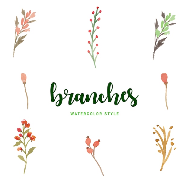 Watercolor Branches Set Free Vector