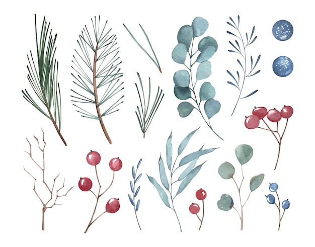 Watercolor branches set with berries and conifer leaves Hand drawn Christmas isolated elements
