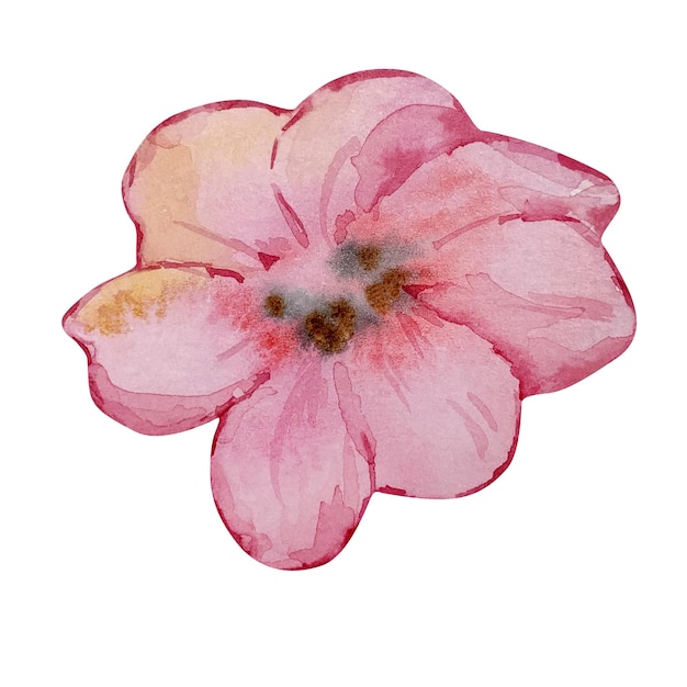 Watercolor bright flower