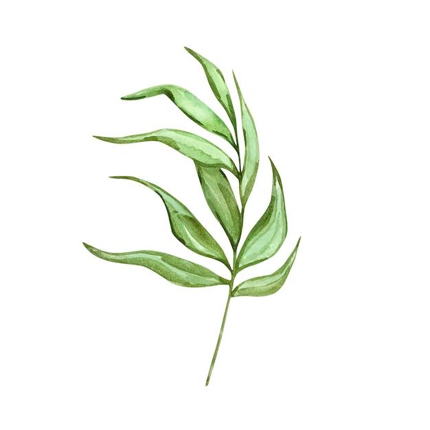 Акварель ярко-зеленый тропический лист для летнего дизайна
