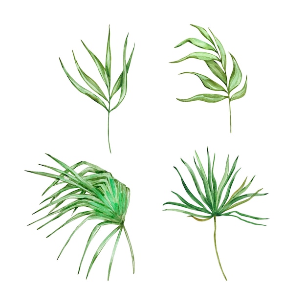 watercolor bright green tropical leaves for summer designs