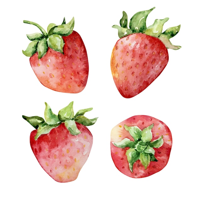 Вектор Акварель ярко-красная клубничная ягода