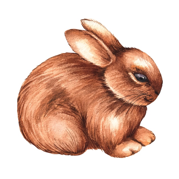 Watercolor brown rabbit on a white background