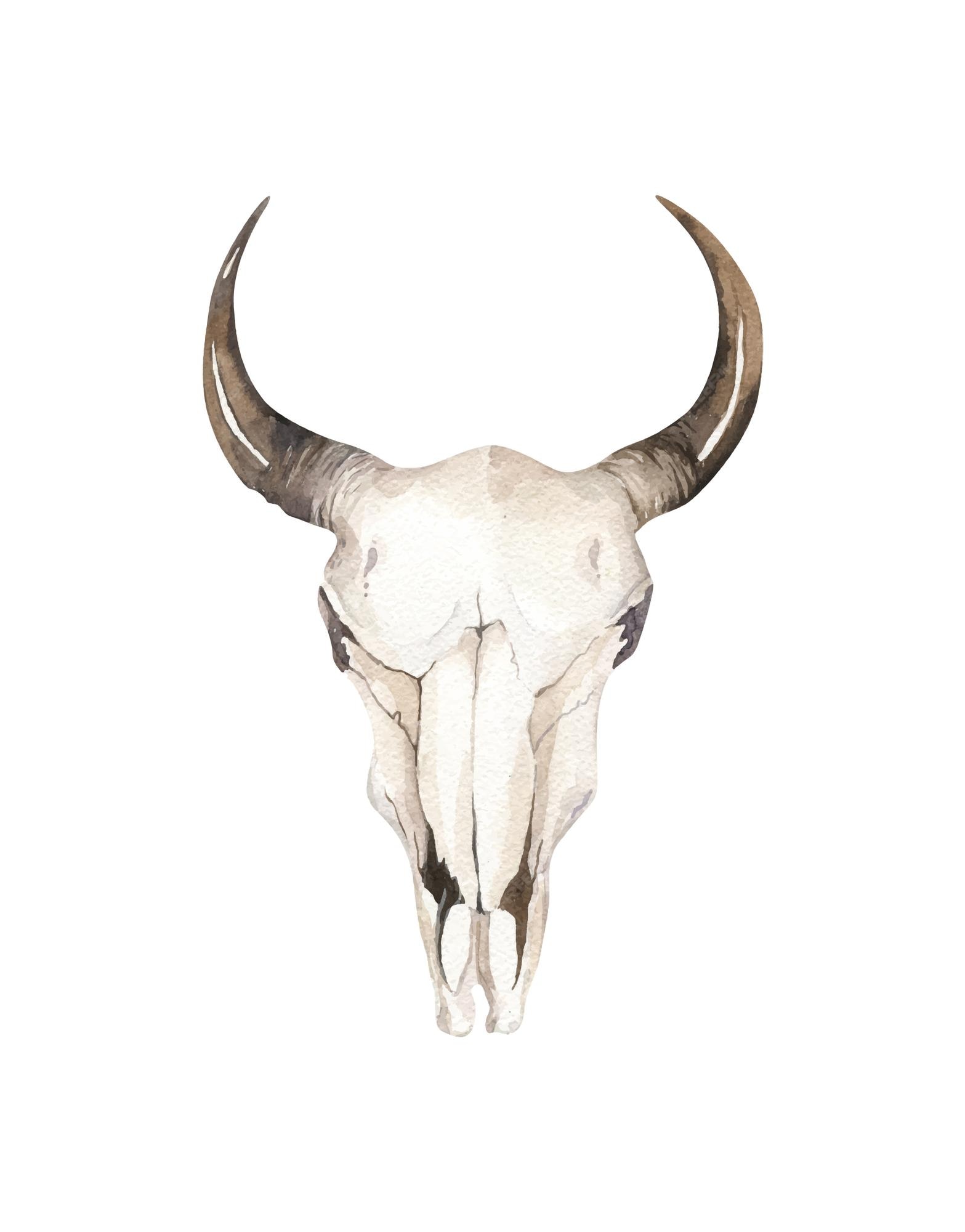 Premium Vector | Watercolor buffalo skull illustration