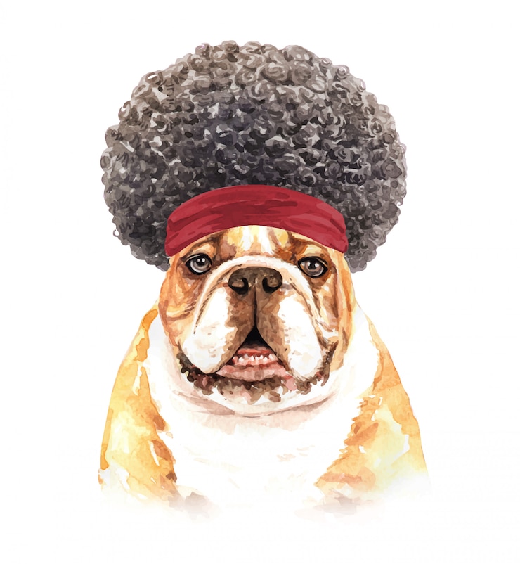 Vector watercolor bulldog with afro hair.